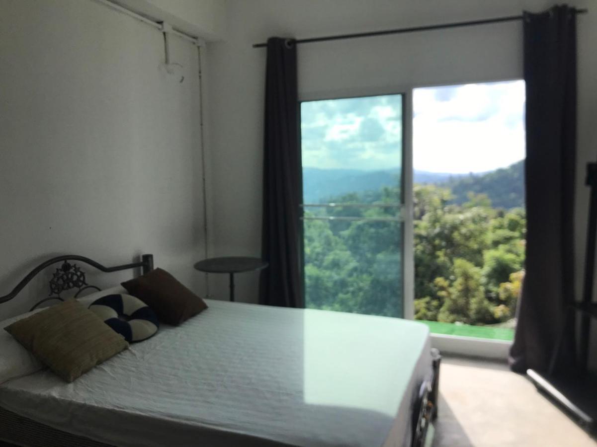 Terre Terrace Glamping - Doichang Ban Huai Khai Exteriér fotografie